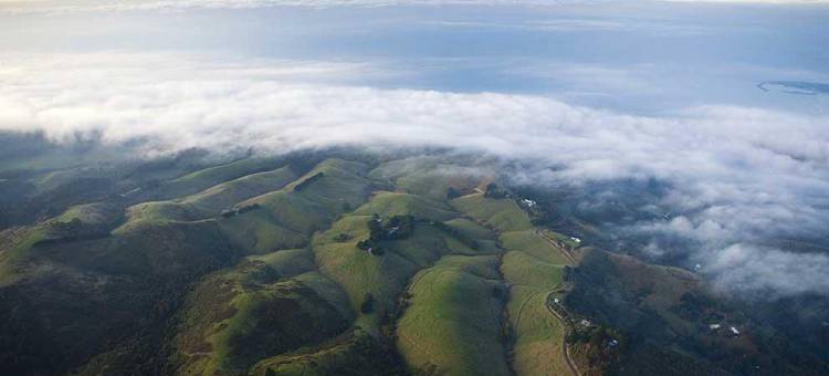 大洋路住宿飞镖酒店(The Boomerangs at Johanna on the Great Ocean Road)图片