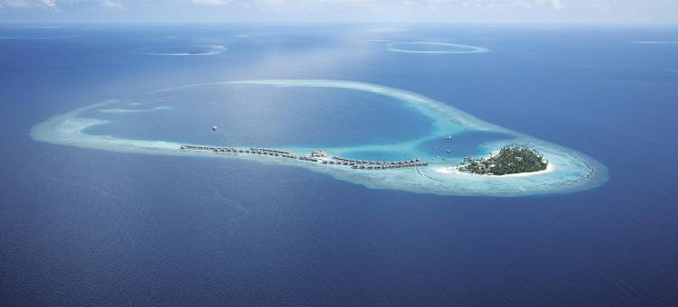 马尔代夫康斯丹哈拉薇莉酒店(Constance Halaveli)图片