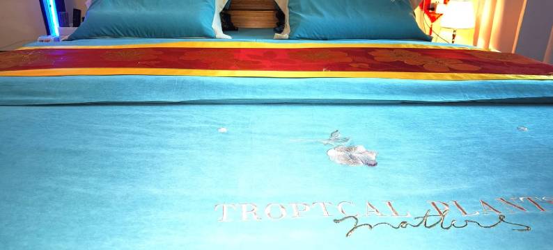 忆涵主题家庭公寓(青石路分店)图片