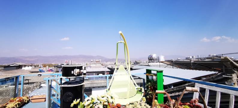 大理晚安喵萌宠花园度假民宿(玉洱路分店)图片