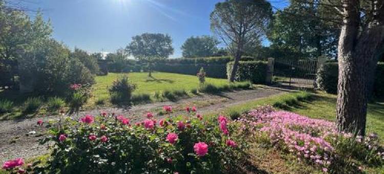 Mas de l'Estiou酒店(Mas de l'Estiou)图片