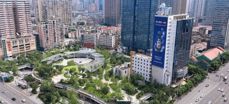 海上小喔图片