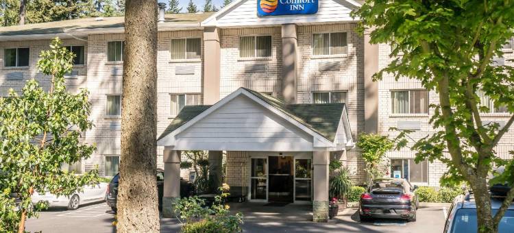 莱西舒适酒店(Comfort Inn Lacey - Olympia)图片