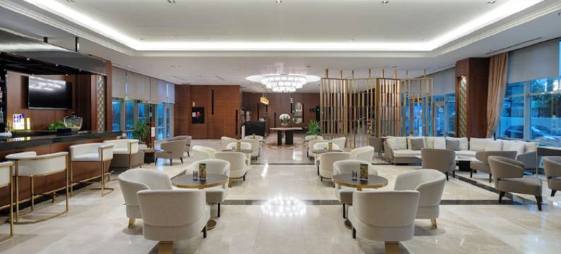 伊斯坦布尔亚洲机场奇迹水疗酒店(Miracle Istanbul Asia Airport Hotel & Spa)图片