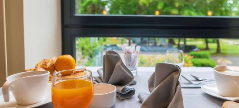 瑟莱斯吕克瑟伊来源酒店(Hotel Cerise - les Sources Luxeuil-Les-Bains)图片