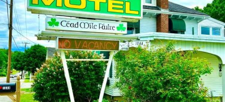 克拉达汽车旅馆及套房(Claddagh Motel & Suites)图片