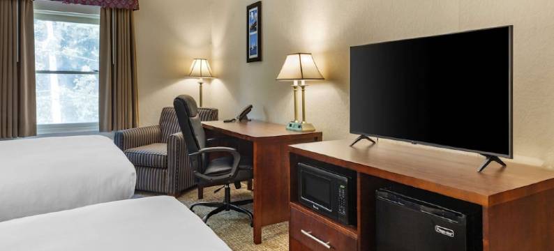 美茵斯坦套房酒店福克斯波罗-曼斯菲尔德(MainStay Suites Foxboro - Mansfield)图片