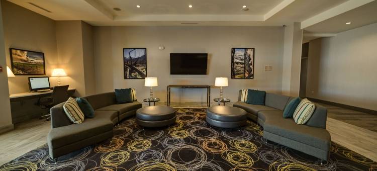 西埃德蒙顿Candlewood Suites-购物中心区(Candlewood Suites West Edmonton - Mall Area)图片