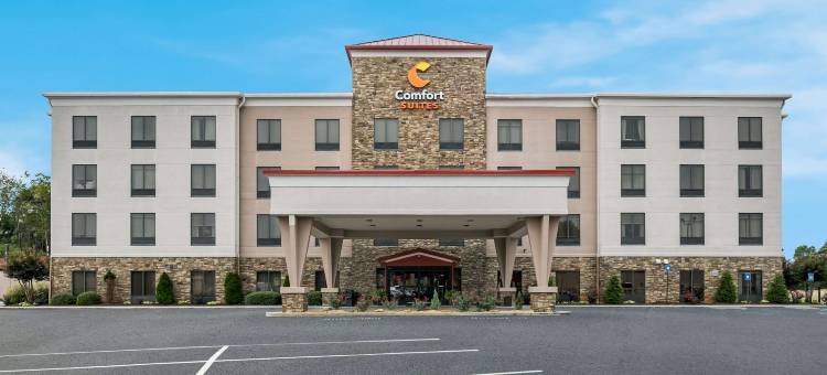 舒适套房酒店(Comfort Suites)图片