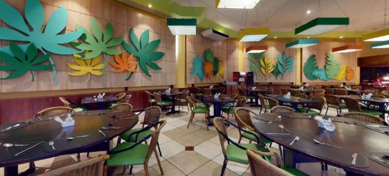 蓝树莱恩斯温泉度假村(Blue Tree Thermas de Lins Resort)图片