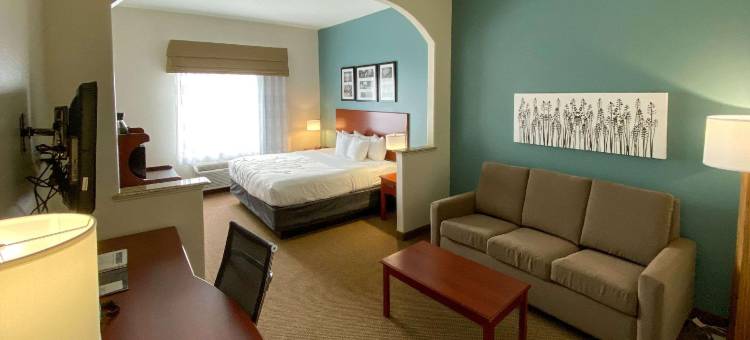 皮尔兰舒眠套房酒店-南休斯顿(Sleep Inn & Suites Pearland - Houston South)图片