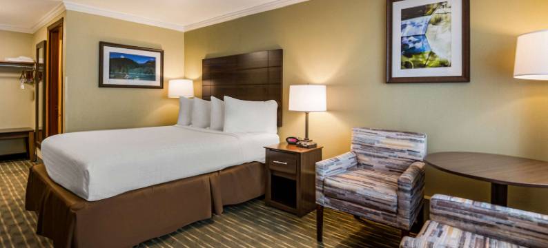 库斯贝假日贝斯特韦斯特优质酒店(Best Western Holiday Hotel)图片