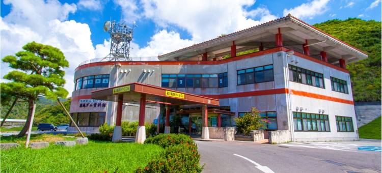 冲绳名护人工温泉二股汤之华格林里奇酒店(Green Rich Hotel Okinawa Nago (Artificial Hot Spring Futamata Yunohana))图片