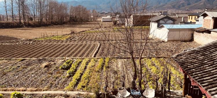 青鸟咖啡民宿(先锋书店分店)图片