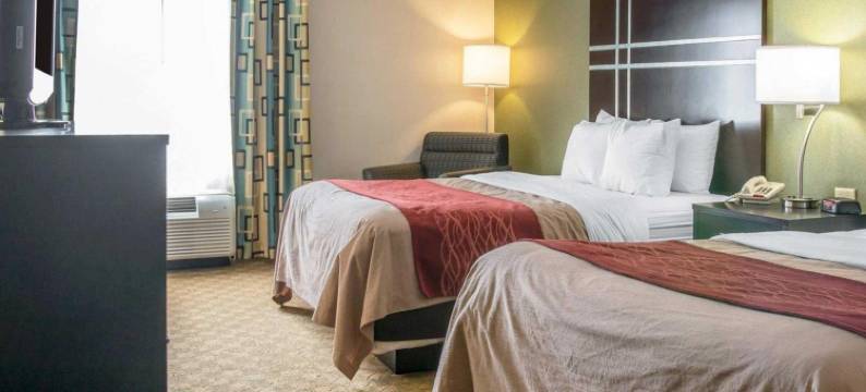 舒适套房酒店 - 托莱多 (I80-90)(Comfort Inn & Suites Maumee - Toledo I80-90)图片