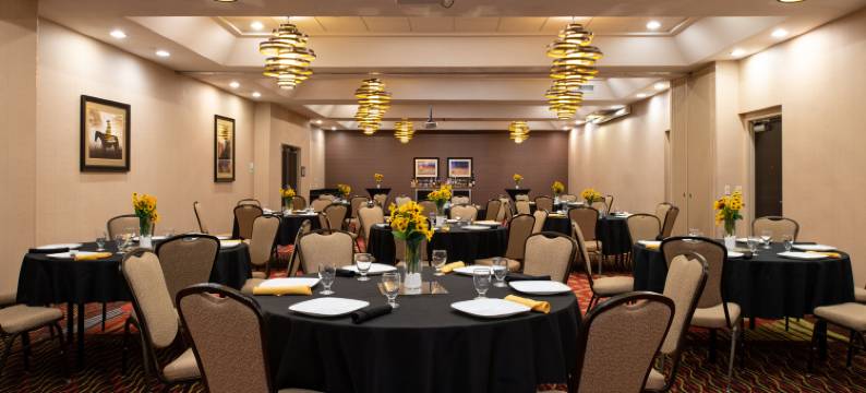 Holiday Inn 阿马里洛西部医疗中心(Holiday Inn AMARILLO WEST MEDICAL CENTER by IHG)图片