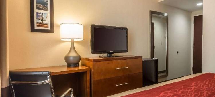 舒适酒店(Comfort Inn)图片