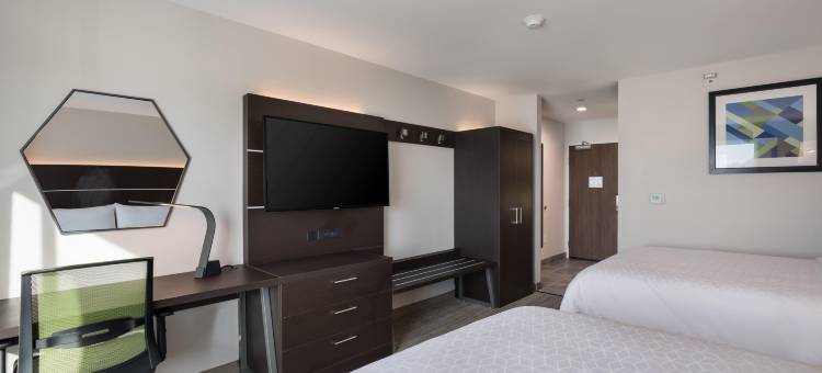 洲际酒店集团智选假日酒店及套房芝加哥 - 霍夫曼庄园(Holiday Inn Express & Suites Chicago - Hoffman Estates)图片