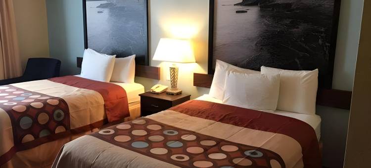 史蒂文斯角地区速8酒店(Super 8 by Wyndham Plover Stevens Point Area)图片