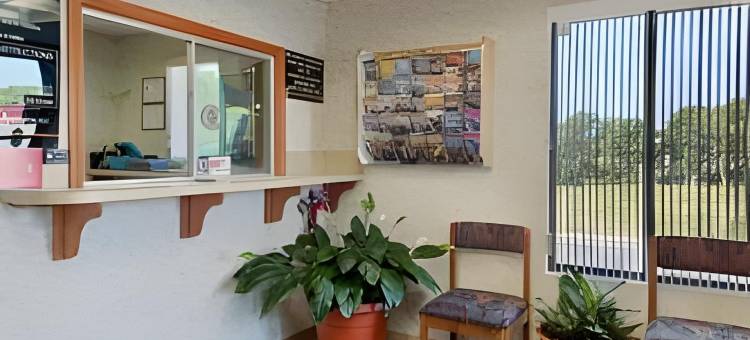 伯灵顿速8酒店(Super 8 by Wyndham Burlington NC)图片