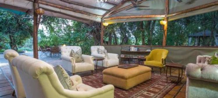 Tintswalo Siankaba图片