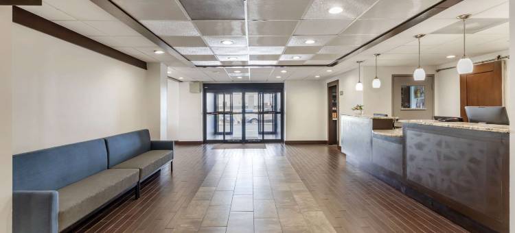 舒适酒店达拉斯北爱情机场(Comfort Inn Dallas North Love Field Airport)图片