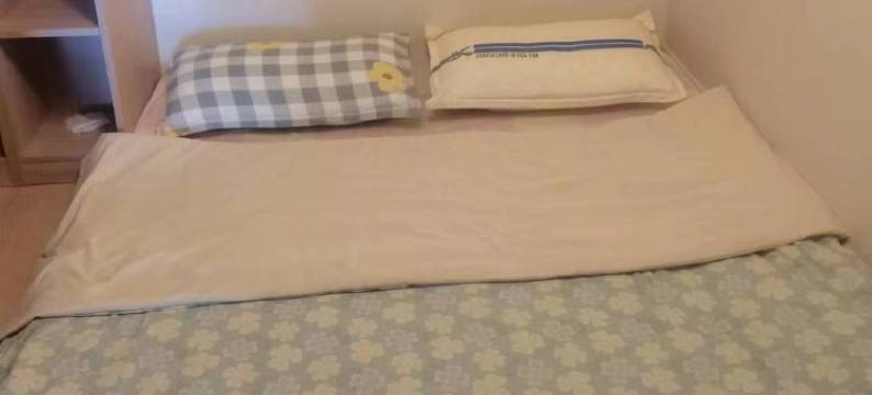 小小刘女士公寓(新开路分店)图片