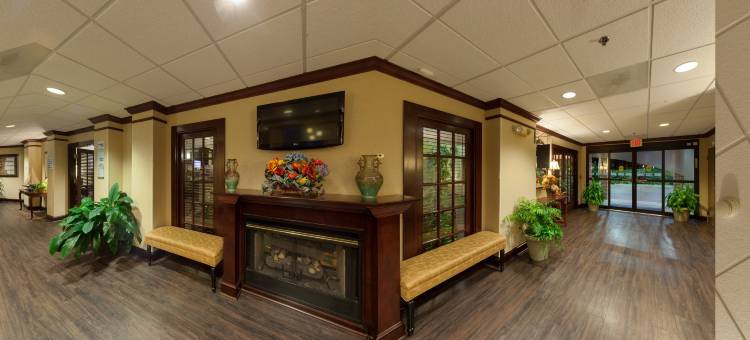 洲际酒店集团智选假日酒店及套房 哥伦比亚 I-20 克莱姆森路(Holiday Inn Express & Suites Columbia-I-20 @ Clemson RD)图片