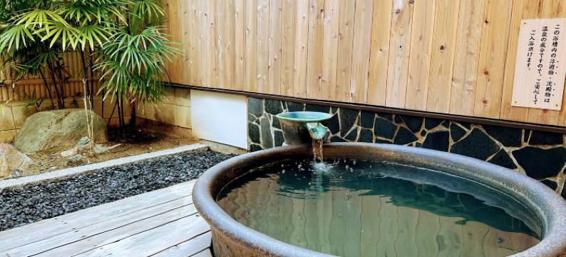 Ichizu旅馆(Utsumionsen Ichizu)图片