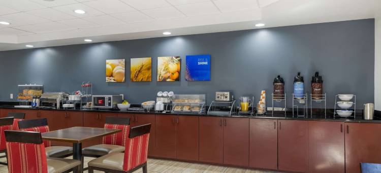 舒适套房酒店-亚特兰大机场(Comfort Suites Atlanta Airport)图片