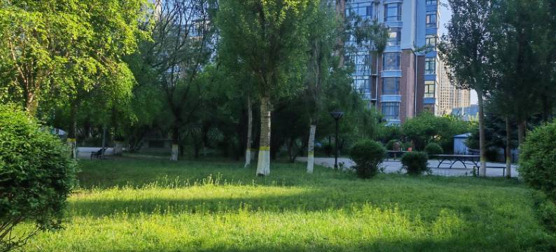 遇尚·SNOW民宿图片