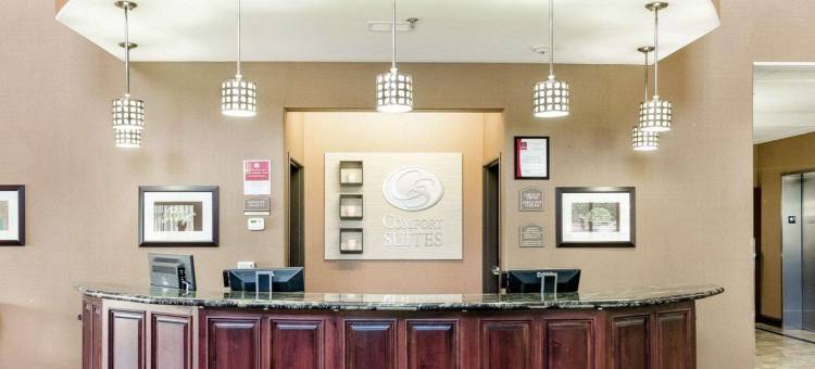 托皮卡西北舒适套房酒店(Comfort Suites Topeka Northwest)图片