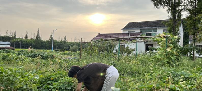 梦源居寻梦源太阳岛旁的特色民宿(沈太路分店)图片