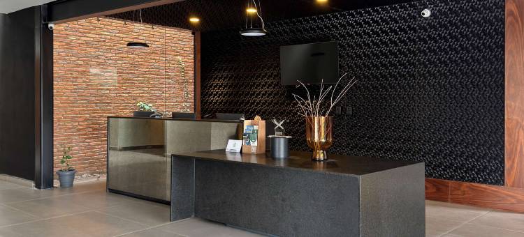 Esplendor by Wyndham San Luis Potosi图片