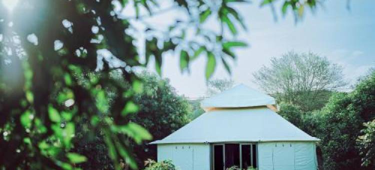 安只罗沙豪华营舍(Angirasa Luxury Camping)图片