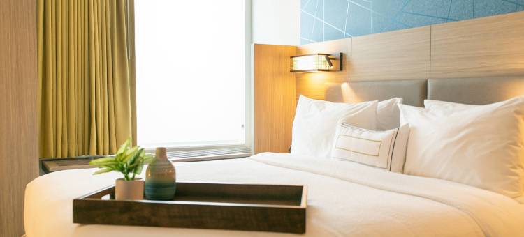 南本德北万豪SpringHill Suites酒店(SpringHill Suites South Bend Notre Dame Area)图片