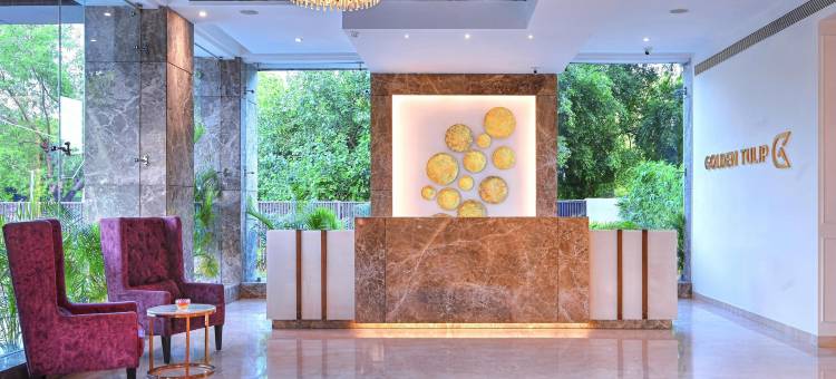 阿格拉金色郁金香酒店(Golden Tulip Agra)图片