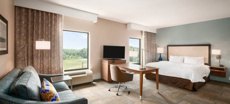 乔治亚州拉沃尼亚欢朋酒店(Hampton Inn & Suites Lavonia)图片