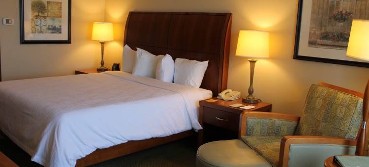 艾迪生希尔顿花园酒店(Hilton Garden Inn Addison)图片