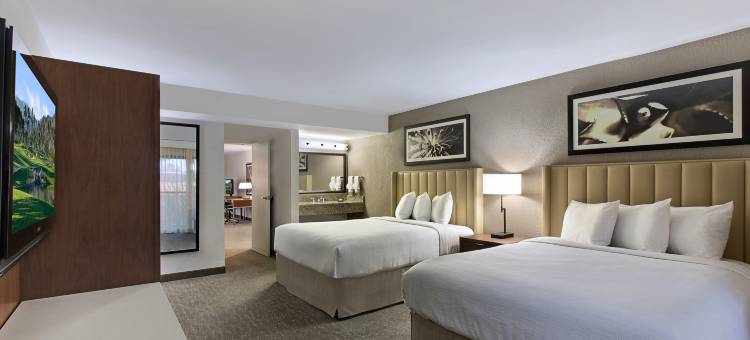 棕榈沙漠希尔顿安泊套房酒店(Embassy Suites by Hilton Palm Desert)图片