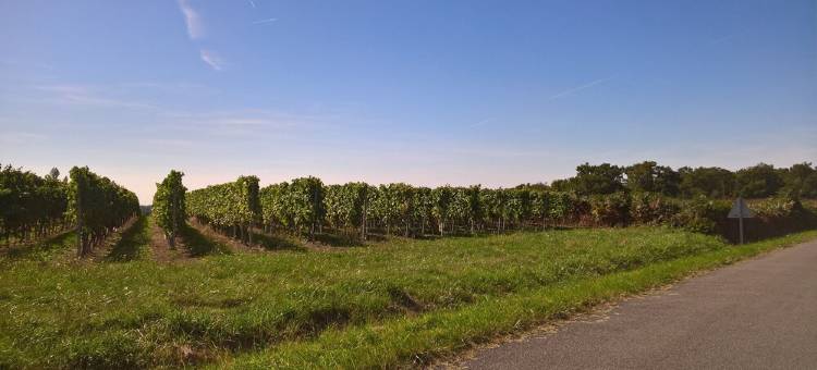 Peaceful Villa, Charente Hills, Sunset Heated Pool & Veranda, A/C, Sleeps 8图片