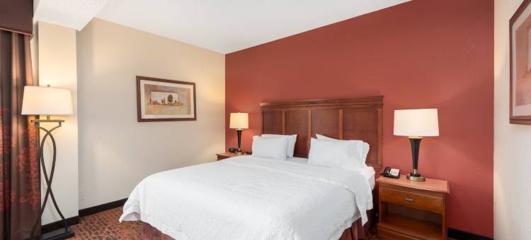 加沙地带欢朋布兰森酒店(Hampton Inn Branson-West)图片