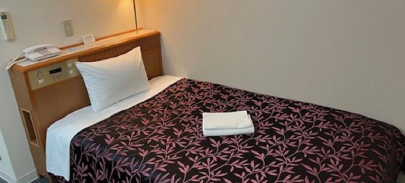 皇家旅馆-车站广场(Royal Inn Station Plaza)图片