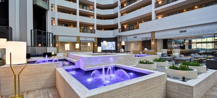 罗利达勒姆三角研究园希尔顿安泊酒店(Embassy Suites by Hilton Raleigh Durham Research Triangle)图片