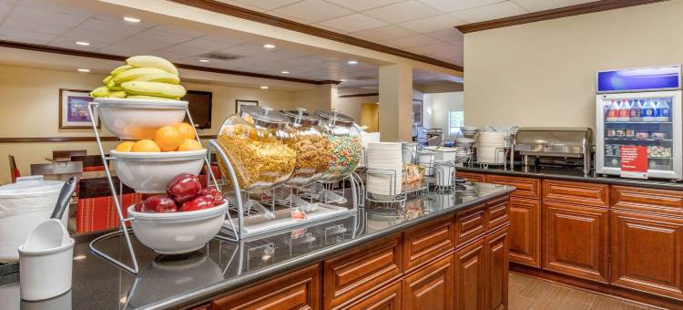 舒适套房酒店-近商业街(Comfort Suites - Near the Galleria)图片