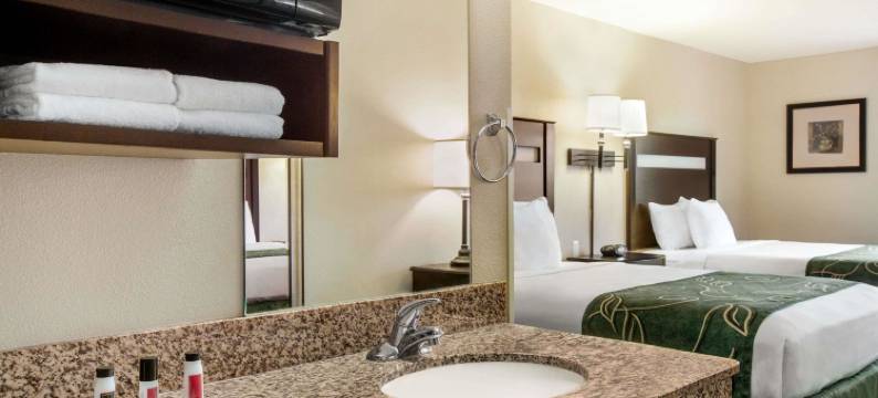 利沃尼亚Travelodge by Wyndham酒店(Travelodge by Wyndham Livonia)图片