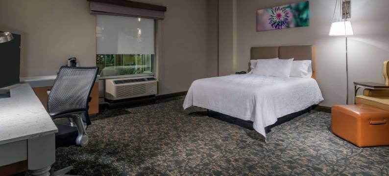 阿瓦达丹佛希尔顿花园酒店(Hilton Garden Inn Arvada Denver, CO)图片