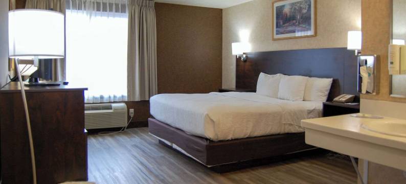 霍姆斯特德公园品质酒店(Quality Inn Homestead Park)图片