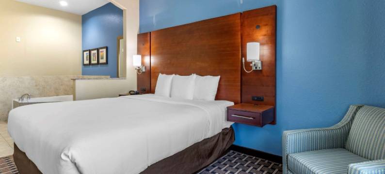 舒适套房酒店(Comfort Suites)图片