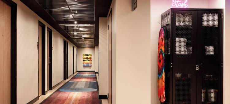 迈阿密Wynwood的Moxy(Moxy Miami Wynwood)图片